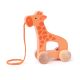 Giraffa Trainabile con Rotelle 