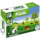 Primi Passi nell'Ecologia: Piante 12 Esperimenti + Libro Educativo